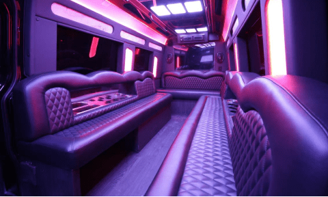 Wichita Falls 14 Passenger Sprinter Bus Interior