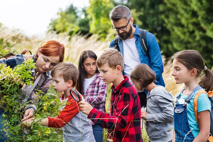 School Field Trip Bus Rentals in CITY